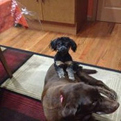 John Kapps's photo