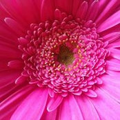 Alisia Swafford's photo