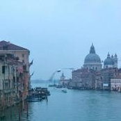 Therese Powers's photo