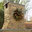 Homescapes Ltd