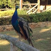 Michelle Campbell's photo