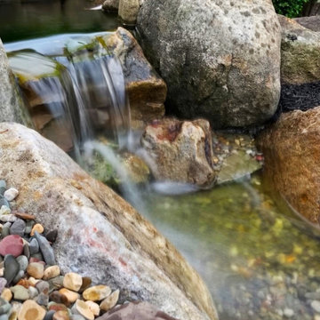 Renovating an Old Pond