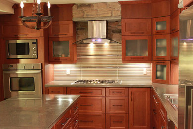 Kitchen - modern kitchen idea in Ottawa