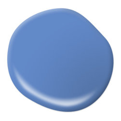 Integrity P530-5 - Paint