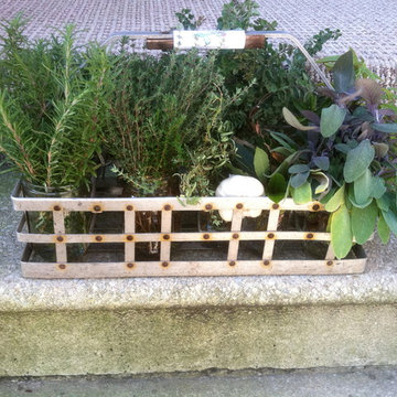 Vegetable & Herb Gardens