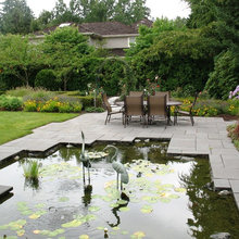 ponds
