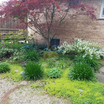 Small Urban Garden