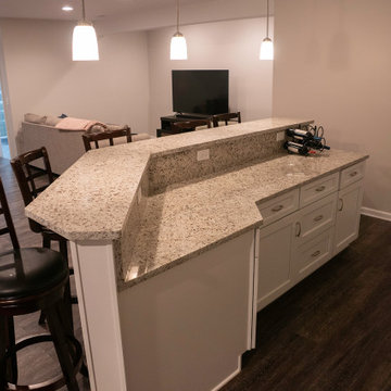 Custom Home Bar Renovation in Aurora, IL