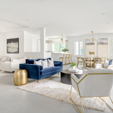 Coral Gables California Contemporary Home