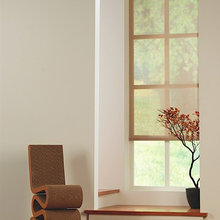 Window Shades