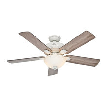 Ceiling Fans