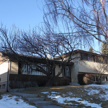 Remodel