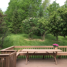 Landscape Ideas
