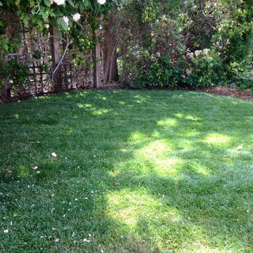 Santa barbara Shrub care Maintenance company