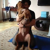 Steve Mougis's photo
