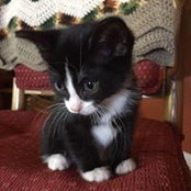 Lesley Nebuloni's photo