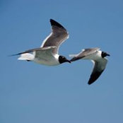 Connie Leung's photo