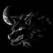 Khoa Tran's photo