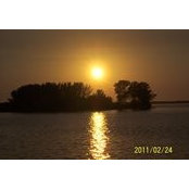 Dawn Foster's photo