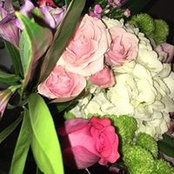 Carmela Giacalone's photo