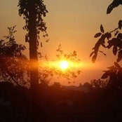 Росица Колева's photo