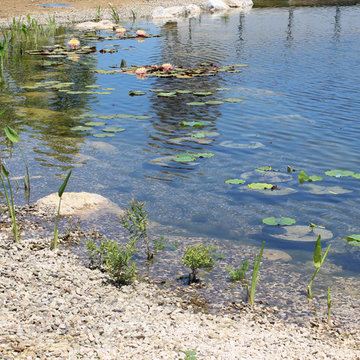 Biolago balneabile Maremma