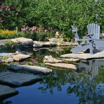 Man-made Natural Pond (Long Island/NY):