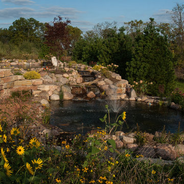 Back Yard Oasis