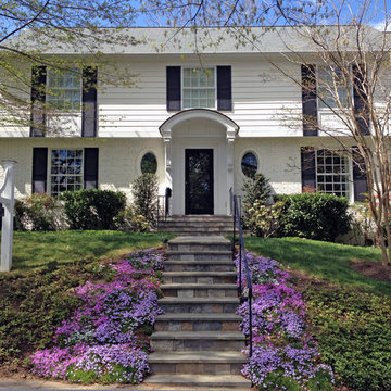 Graceful Whole Home Renovation