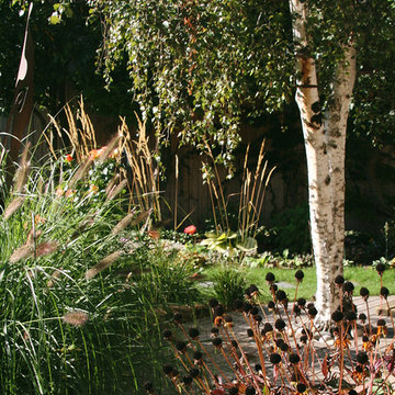 "Calmness and Light in the Secret Garden"