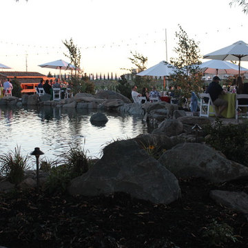 Michael David Winery Pool