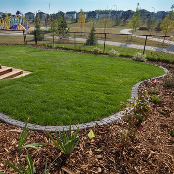 Tiers of Planter Beds