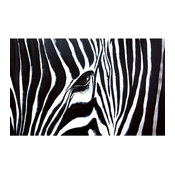 Ren-Wil Kenyan Mare by Nathalie Viens - Wall Art