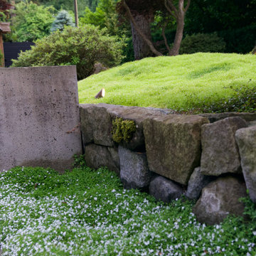 Moss gardens