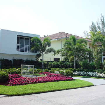 Aventura - Frontyard