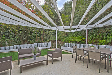 Patio - mid-century modern patio idea in Los Angeles