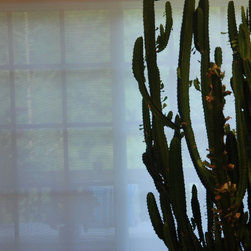 Design Screen Solar Shades Close Up - Window Treatments