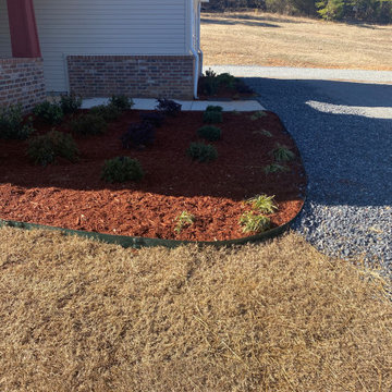 Pool landscaping and patio