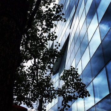 Chelsea Modern