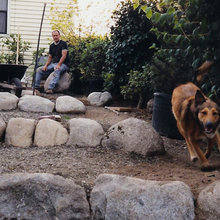 Dog Friendly Landscaping!