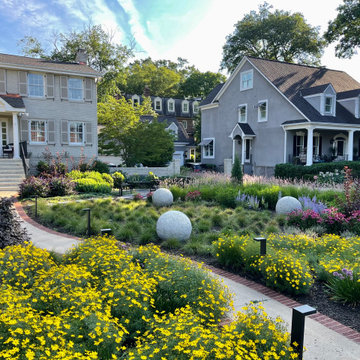 Front meadow, year 2.