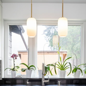 Bitterlake Addition and Remodel