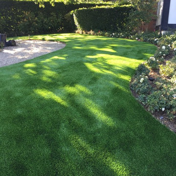Lush, green and durable front lawn