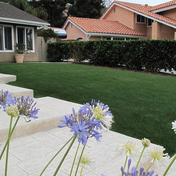 Front Yard with synthetic turf