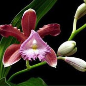 Nelly Hargrave's photo
