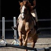 Kristi Argyilan's photo