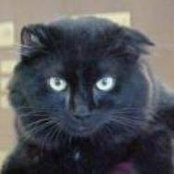 Angela Marchetti's photo