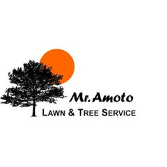 Mr Amoto Lawn & Tree Service