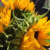 Erika Lobko's photo