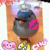 Toni Chenさんの写真